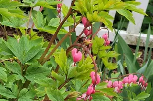 19 Abbey Ln, Taunton, MA 02780 - Photo 16