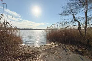 7 Loon Ln, Yarmouth, MA 02673 - Photo 6