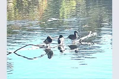 81 Jolicoeur Ave #B, Spencer, MA 01562 - Photo 8