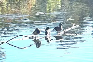 81 Jolicoeur Ave, Spencer, MA 01562 - Photo 8