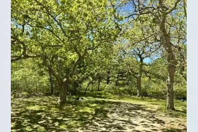 47 Quenames Rd, Chilmark, MA 02535 - Photo 2