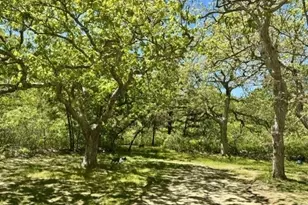 47 Quenames Rd, Chilmark, MA 02535 - Photo 2