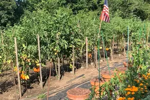 6 Greystone, Middleton, MA 01949 - Photo 40