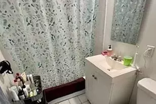 20 Hanson, Boston, MA 02118 - Photo 10