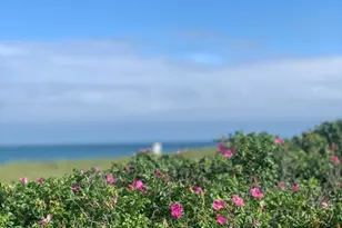 28 Morey Ln, Nantucket, MA 02564 - Photo 30