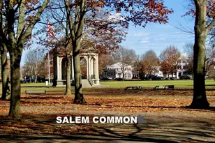 10 Cushing St, Salem, MA 01970 - Photo 32