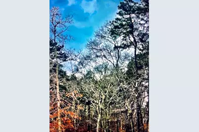 2 Old Farms Trail, Edgartown, MA 02539 - Photo 1