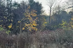 Lot 3 Lawler Ln, Stoughton, MA 02072 - Photo 4