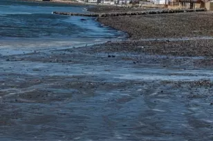 102 Edgewater Rd, Hull, MA 02045 - Photo 4