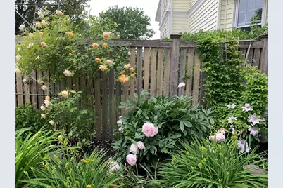 62 Everett St #2, Arlington, MA 02474 - Photo 42