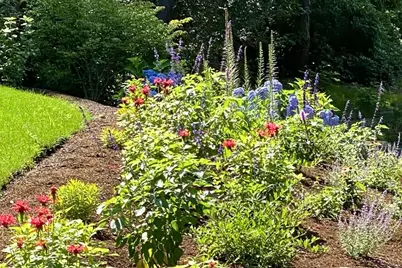 87 N Pond Dr, Brewster, MA 02631 - Photo 38