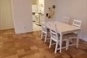 77 Pond Ave, Brookline, MA 02072 - Photo 2