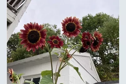 35/0 Heron, Boston, MA 02132 - Photo 24