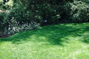 24 Blake Rd, Brookline, MA 02445 - Photo 42