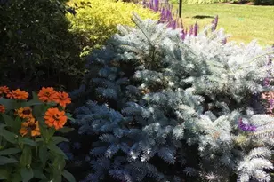 94C Lawrence Rd, Boxford, MA 01921 - Photo 38