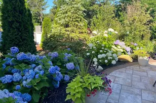 45 Snapping Bow, Plymouth, MA 02360 - Photo 2