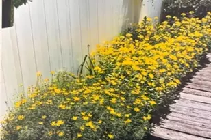 241 Lowell St, Andover, MA 01810 - Photo 26