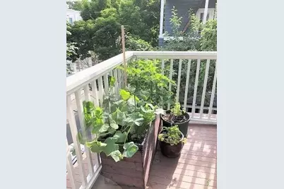 6 Poplar Rd #3, Cambridge, MA 02138 - Photo 12