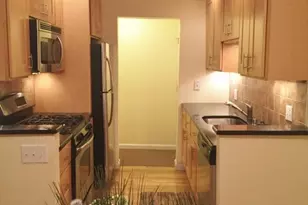 66 St James St, Boston, MA 02119 - Photo 4