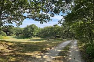 36 Smith Hollow Dr, Edgartown, MA 02539 - Photo 34