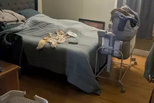 296 Pelham St, Methuen, MA 01844 - Photo 10