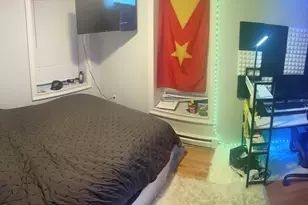 2 Woodbine St, Boston, MA 02119 - Photo 20