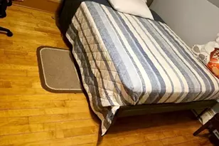 9 Hill St, Taunton, MA 02780 - Photo 12