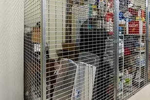 248 Albion St, Wakefield, MA 01880 - Photo 24