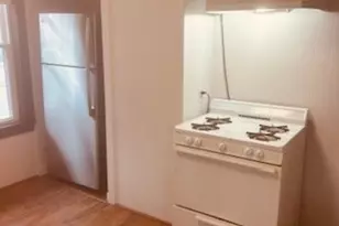 56 Hamilton St, Boston, MA 02136 - Photo 14