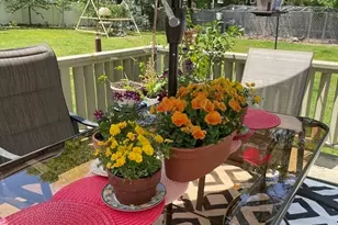 827 Pike Ave, Attleboro, MA 02703 - Photo 24