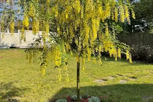 827 Pike Ave, Attleboro, MA 02703 - Photo 28