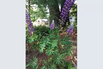 827 Pike Ave, Attleboro, MA 02703 - Photo 8