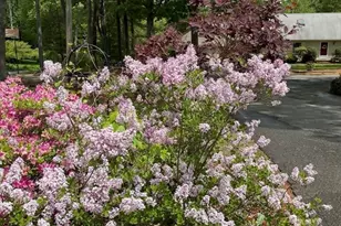 827 Pike Ave, Attleboro, MA 02703 - Photo 18