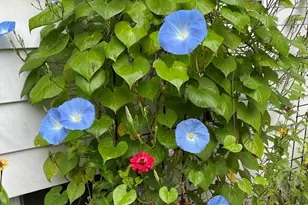 827 Pike Ave, Attleboro, MA 02703 - Photo 30