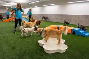 240 Devonshire St, Boston, MA 02110 - Photo 40