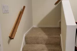 14 Robey St, Boston, MA 02119 - Photo 10