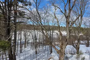 Lot 4 Petersham Rd, Phillipston, MA 01331 - Photo 38