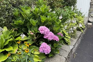 108 Winslow Ave, Norwood, MA 02062 - Photo 8