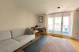 20 Chestnut, Cambridge, MA 02139 - Photo 1