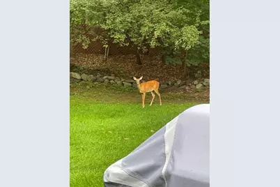 2 Darby Court, Natick, MA 01760 - Photo 38