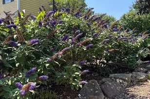 82 Lester Ln, Weymouth, MA 02188 - Photo 10