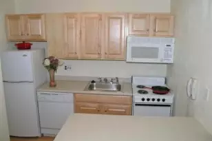 123 Sewall Ave, Brookline, MA 02446 - Photo 6