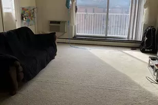 123 Sewall Ave, Brookline, MA 02446 - Photo 4