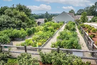 59 Brooksmont Dr #59, Holliston, MA 01746 - Photo 38