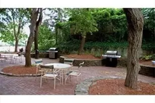 33 Pond Ave, Brookline, MA 02445 - Photo 4