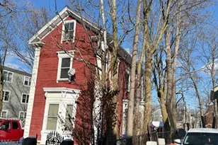 12 Forest St, Boston, MA 02119 - Photo 2