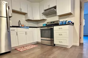 15 Wallbridge St, Boston, MA 02134 - Photo 2