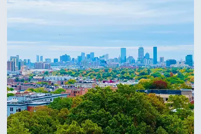 1 Nevins Hill Way #310, Boston, MA 02135 - Photo 14