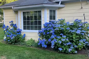 17 Stone Ave, Shrewsbury, MA 01545 - Photo 38