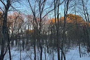 52 Village Brook Ln, Natick, MA 01760 - Photo 20